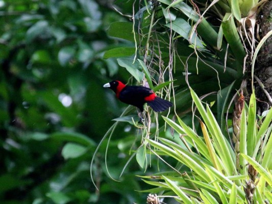 Lago Fest: un paraíso para senderismo, kayak y avistamiento de aves