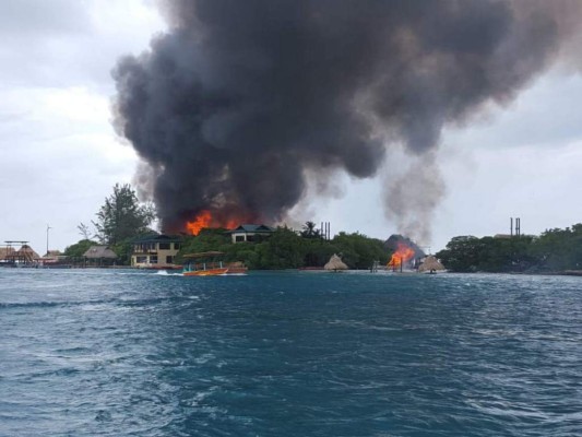 Evalúan estado de los animales tras el incendio en Little French Key