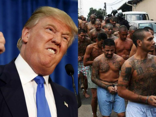 Trump irá a Nueva York en ofensiva contra MS-13&nbsp;