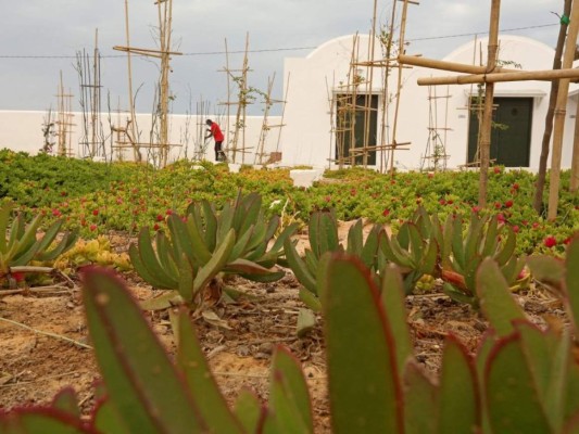 Túnez: Inauguran cementerio para migrantes anónimos que murieron intentando llegar a Europa &nbsp;&nbsp;
