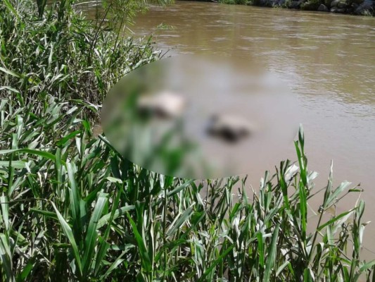 En Río Chamelecón hallan cuerpos de cuatro hombres desaparecidos