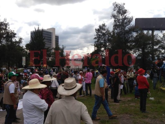 FOTOS: Llega a Tegucigalpa caravana que caminó desde Cortés en apoyo a migrantes