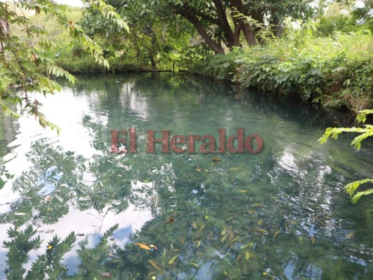 Aguas Termales de oropolí, una fuente medicinal