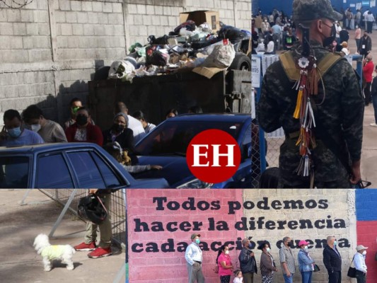 Con mascotas, aglomerados y estrenado sistema biométrico: Curiosidades del proceso electoral (FOTOS)