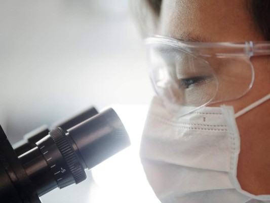 Paso a paso: Estas son las fases para la creación de una vacuna