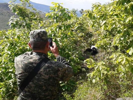 Encuentran muerta a adolescente desaparecida