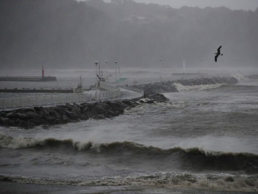 Dos muertos y competiciones deportivas anuladas por tifón Hagibis en Japón&nbsp;&nbsp;