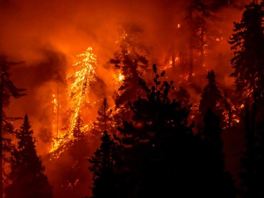 Las imágenes más impactantes del incendio Bobcat que arrasa California