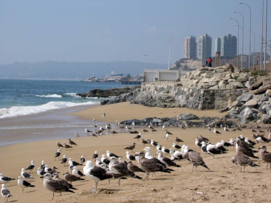 ¡Bienvenidos a Viña, la gala de la música!