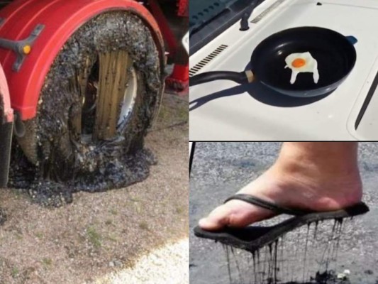 FOTOS: Huevos cocidos, llantas derretidas y animales muertos deja intensa ola de calor en Australia