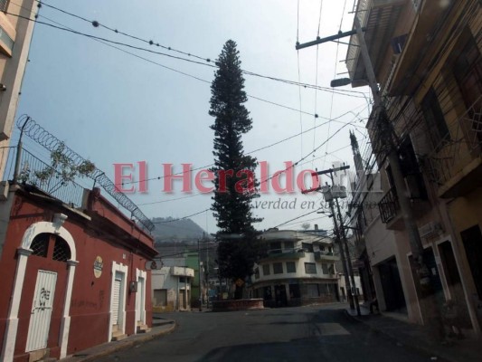 FOTOS: Desolada y vacía, así luce la capital acatando cuarentena