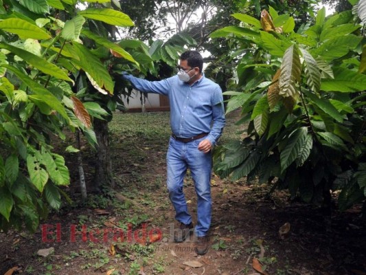 Marlon Escoto: Entré en la lista de cuadrícula de Mauricio Oliva, 'saquemos a ese de la competencia política”&nbsp;&nbsp;