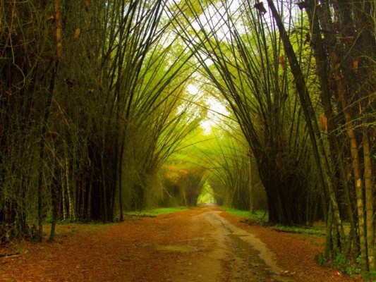 Parte de la belleza natural de Honduras en 12 imágenes
