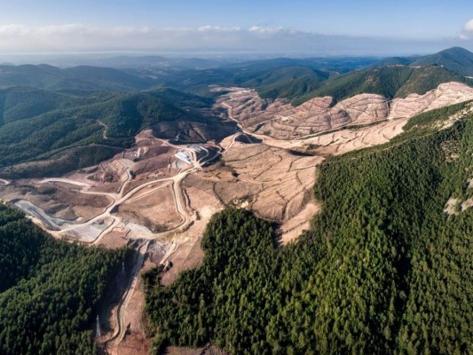 COP26: acuerdo mundial que busca frenar la deforestación para 2030