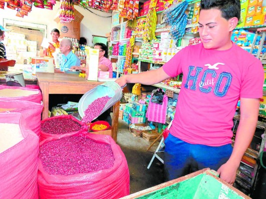 Honduras: Producción de frijol garantiza abastecimiento