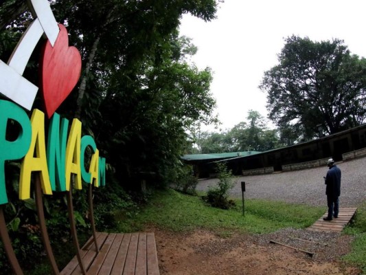 Lago Fest: un paraíso para senderismo, kayak y avistamiento de aves