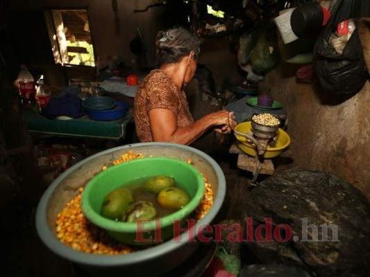 Sufren en el corredor seco, la comida ya es escasa: 'Este año vamos a morir de hambre, no hubo cosechas'