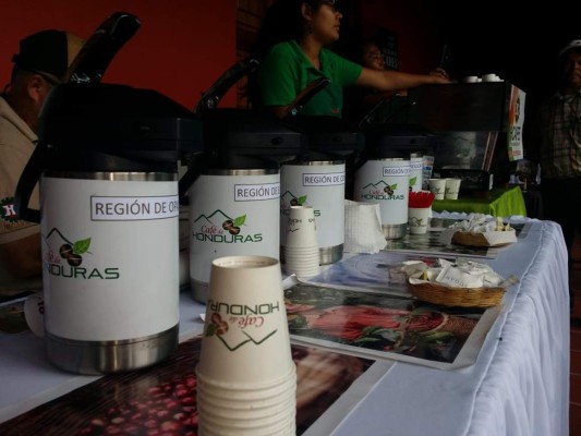 Comayagua es ahora modelo de organización