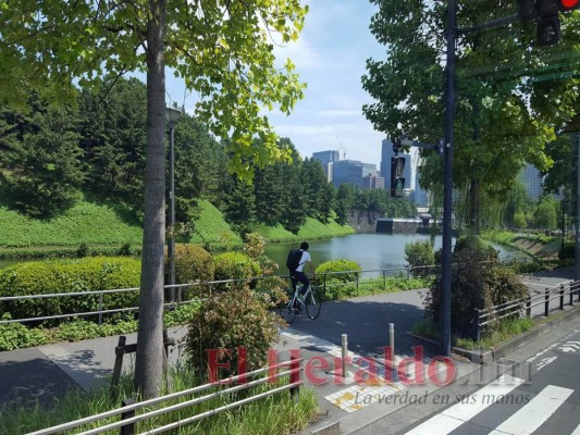 Japón, un país de aprendizaje