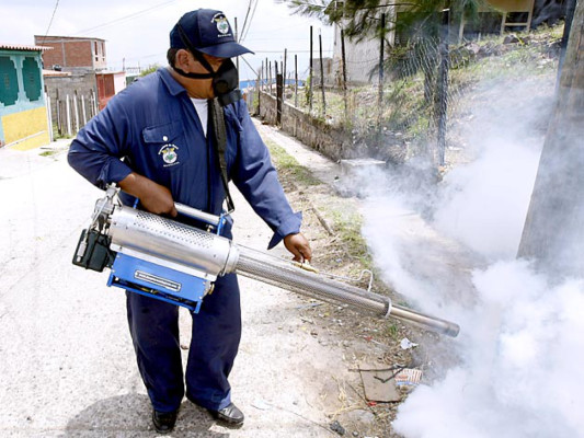 Autoridades descartan que se haya registrado primer muerte por dengue en Honduras