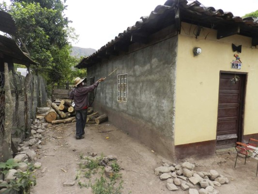 Cuatro vectores acechan salud de vecinos de Olancho