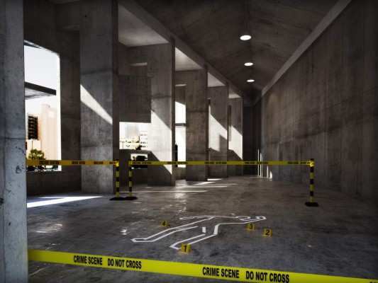 El artículo de Octavio Carvajal: El cuerpo del delito