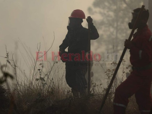 Las infernales imágenes del incendio que consume el bosque de la capital de Honduras