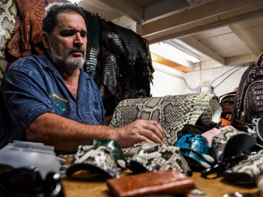 FOTOS: Hombre en EEUU hace mascarillas con piel de iguanas y serpientes pitón