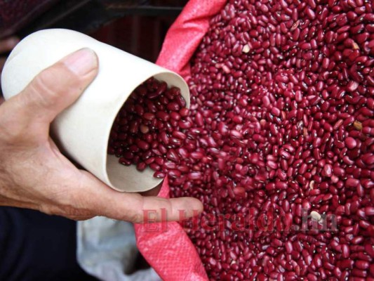 Precio de medida de frijoles rojos baja a 50 lempiras