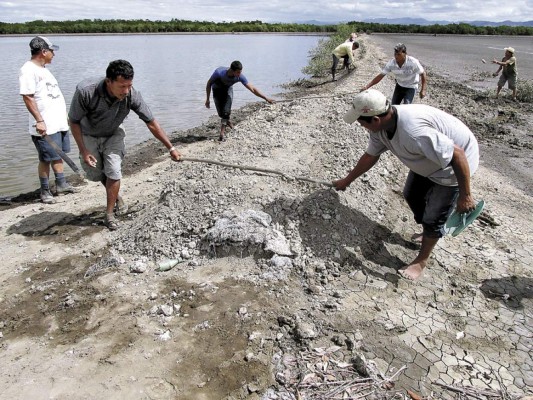 Quieren concesión de fincas camaronera