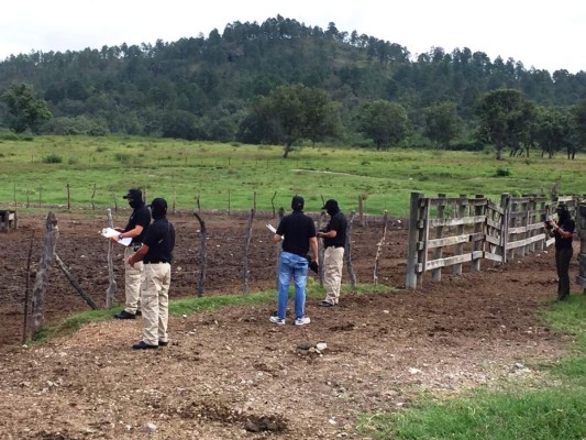 Incautan más bienes y devuelven otros a Rosenthal
