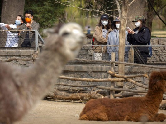 FOTOS: China empieza a retirar restricciones en centro de epidemia 