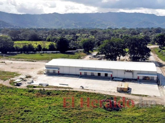 Próspera, Morazán, Orquídea o Agroalpha ¿Qué Zede tomará más territorio de Honduras?