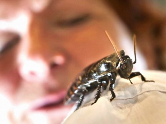 Regalo de San Valentín