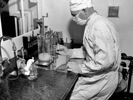 ¿Podrían vacunas viejas ayudar a proteger contra Covid-19?&nbsp;&nbsp;