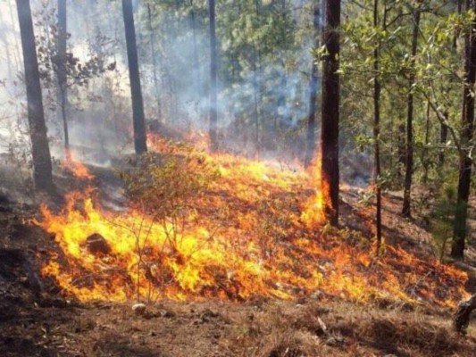 Continúan los incendios, esta vez en la aldea Zarabanda de Santa Lucía