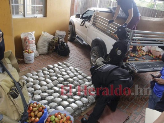 Fotos del decomiso de marihuana que sería distribuida en la capital