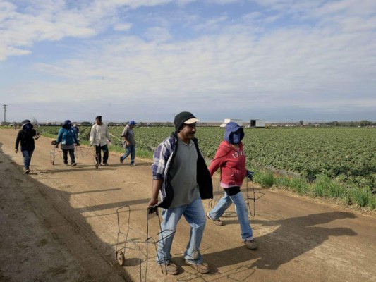 Miles de campesinos marchan en México para exigir el fin de su 'explotación'