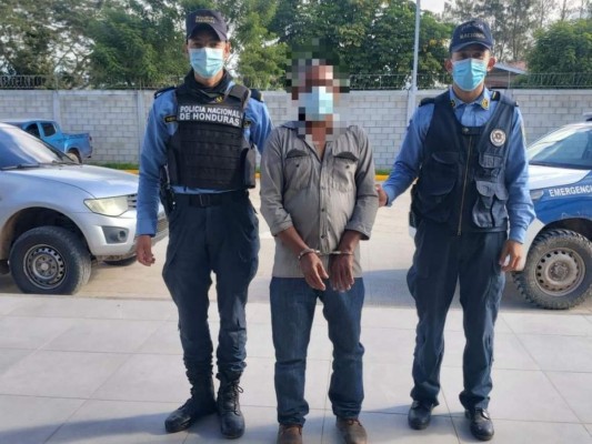 Detienen a sexagenario por cultivo y tráfico de drogas en Comayagua