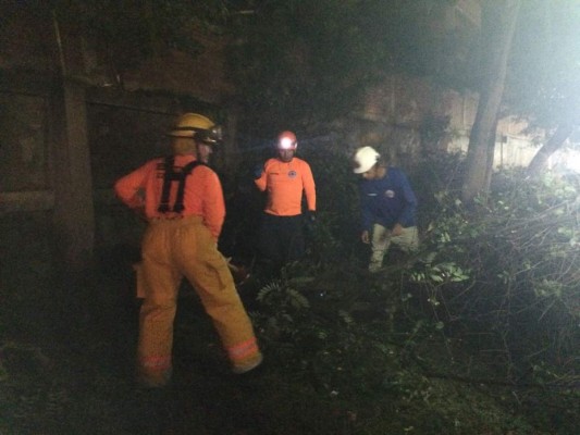 Los daños que causaron las lluvias y fuertes vientos en la capital de Honduras
