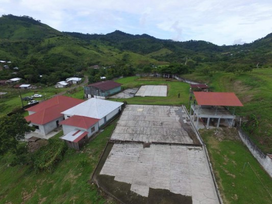FOTOS: Estos son los bienes asegurados a la red de lavado de activos