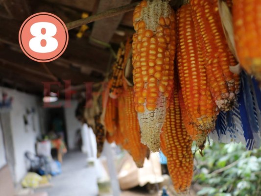 FOTOS: 10 cosas que encontrarás en Yuscarán y no sabías