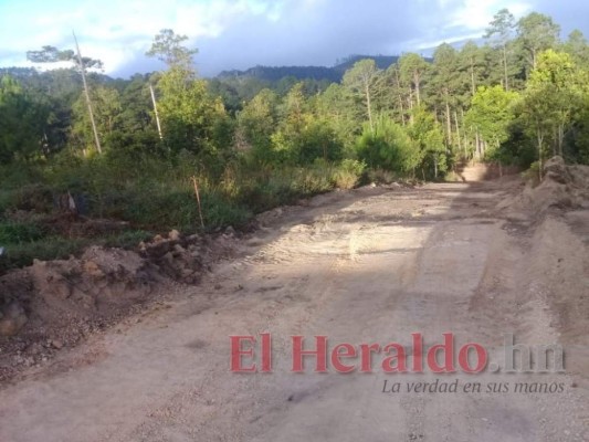 Identifican a sospechosos de dañar Parque Nacional La Tigra