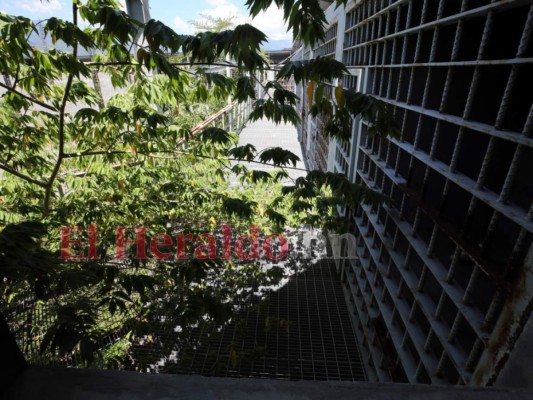 En selva y hábitat de serpientes se convirtió la megacárcel de Naco (Fotos)