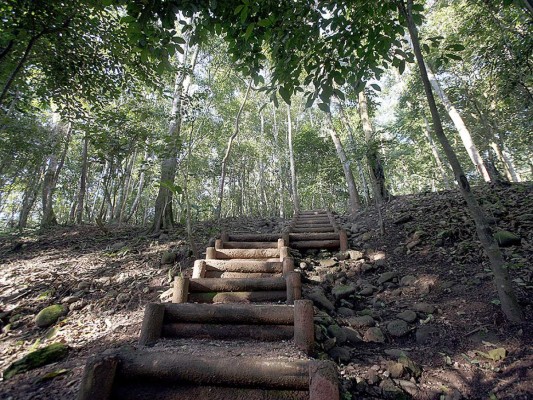 Río Amarillo y Rastrojón