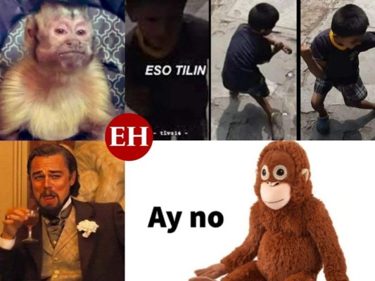 Estos fueron los mejores memes que marcaron el 2021 (FOTOS)