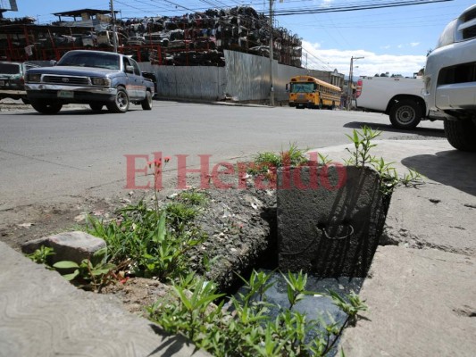 Foco de infección, mal olor y peligro en la colonia Monseñor Fiallos de la capital