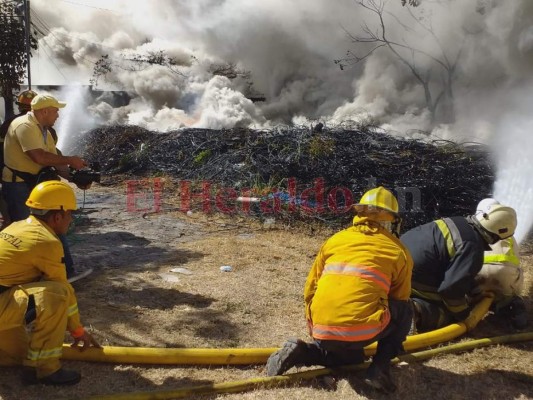 Columnas de humo tóxico y escombros, las imágenes del incendio en Las Tapias