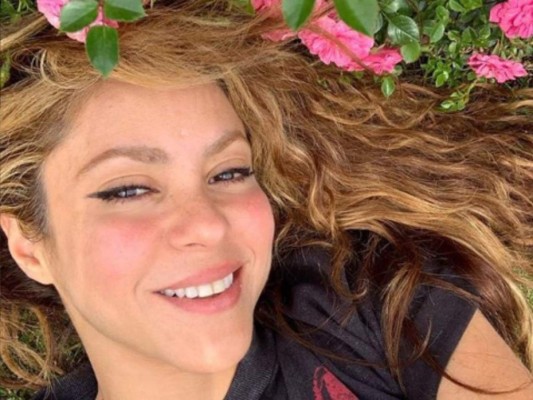 Fans acusan a Shakira de fomentar el maltrato animal tras posar con especies en cautiverio