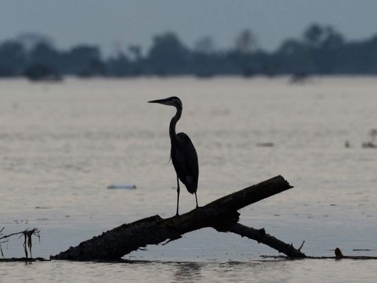Lluvias por ciclón Eta resucitan lagunas desaparecidas en el norte de Honduras (FOTOS)
